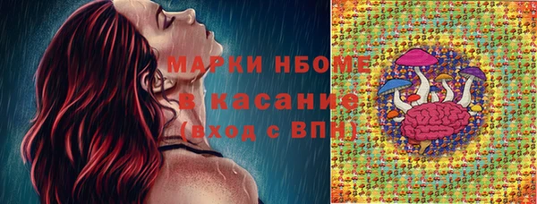 хмурый Снежногорск
