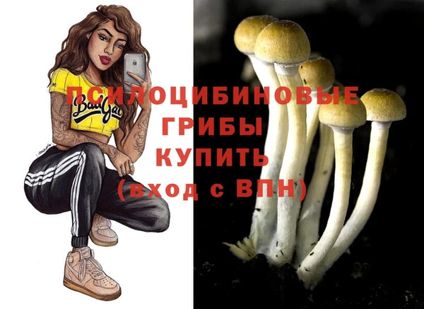 герыч Белокуриха
