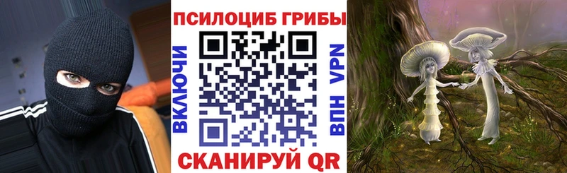 Псилоцибиновые грибы мицелий  Купить закладки  Мценск 
