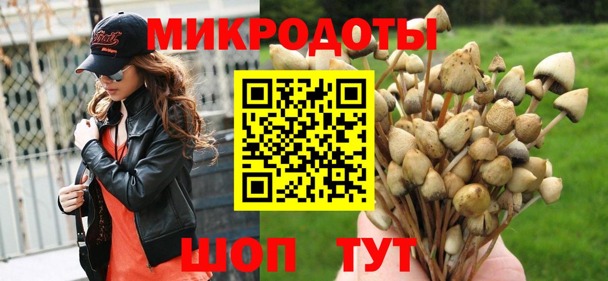 купить  сайты  Мценск  Псилоцибиновые грибы Psilocybe 