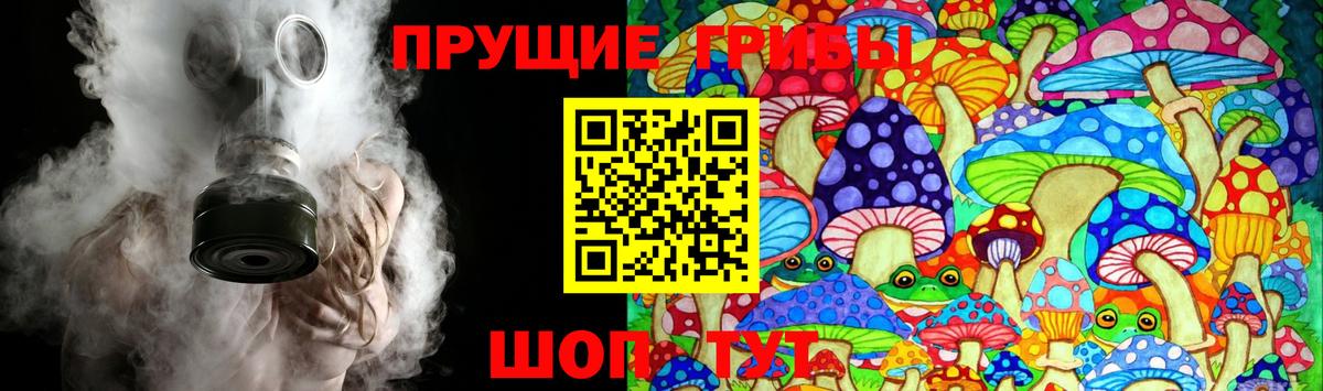 Галлюциногенные грибы Cubensis Мценск