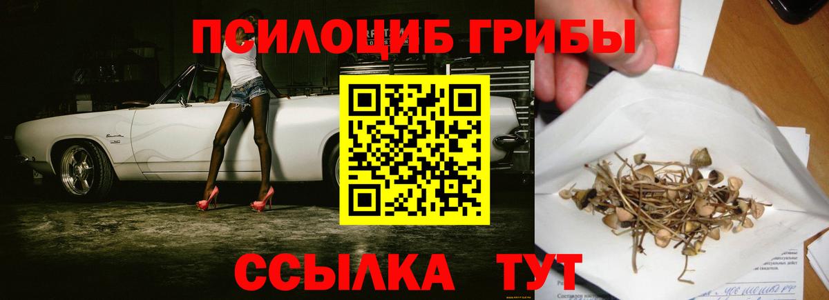 Галлюциногенные грибы мицелий  Вход с VPN  наркотики  Галлюциногенные грибы ЛСД  Мценск 